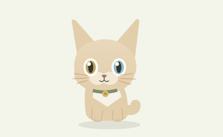Cat with two eye colors